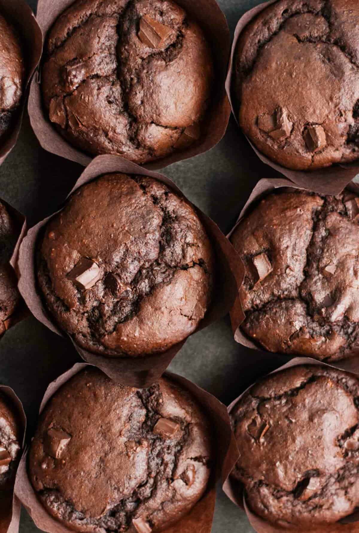 Double Chocolate Sweet Potato Muffins Eat Love Eat,Aster Flower Outline